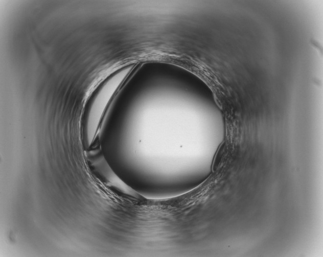 X0000098080244200804181206