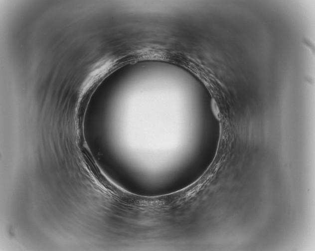 X0000098080245200804181206