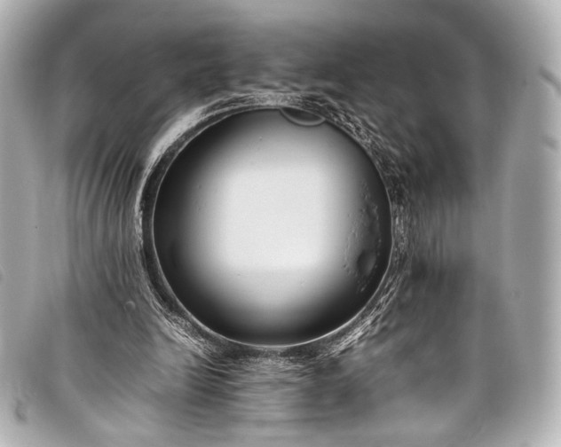 X0000098080246200804181206