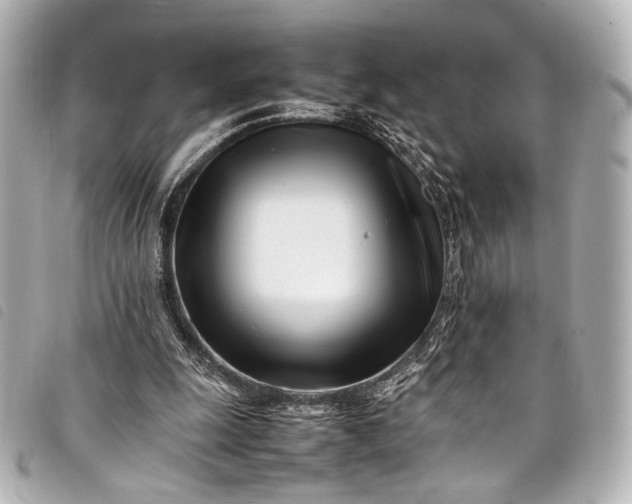 X0000098080247200804181206