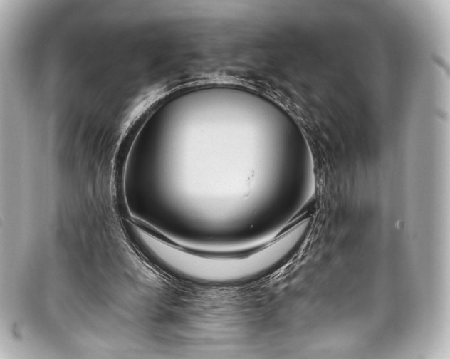 X0000098080248200804181206