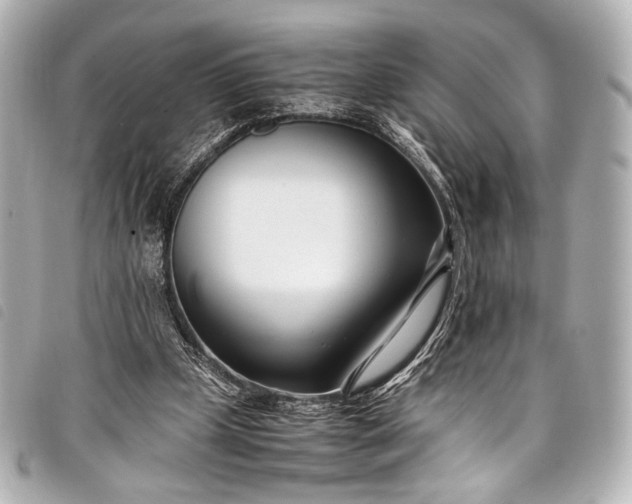 X0000098080249200804181206