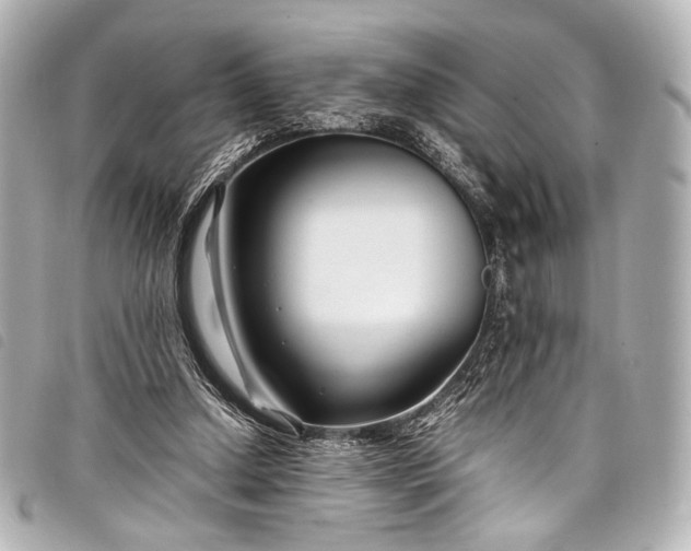 X0000098080250200804181206