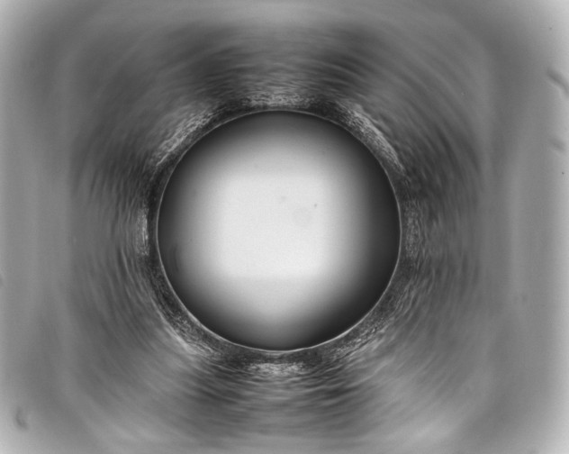 X0000098080251200804181206