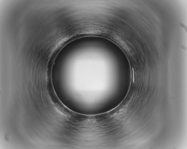 X0000098080252200804181206