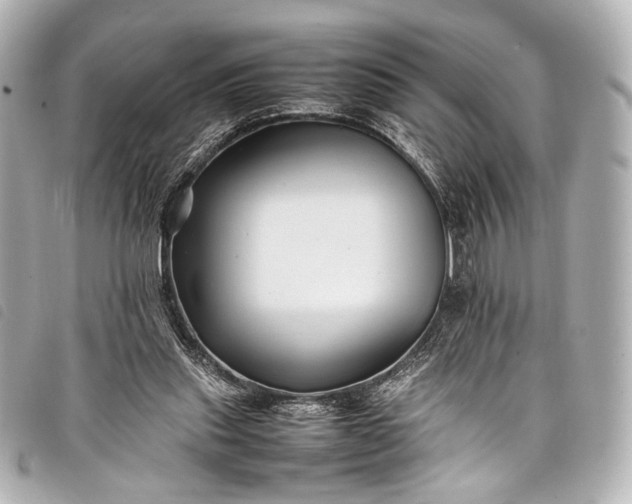 X0000098080253200804181206