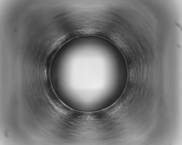 X0000098080254200804181206