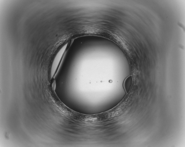 X0000098080257200804181206