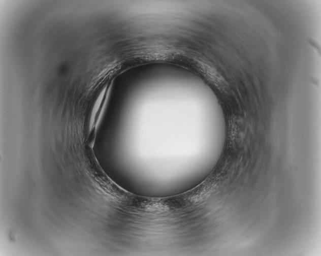 X0000098080258200804181206