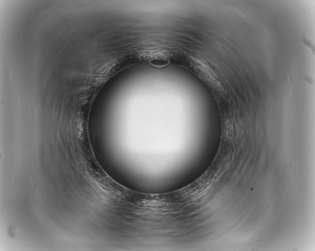 X0000098080259200804181206