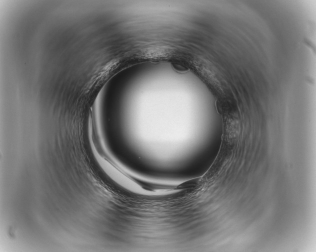 X0000098080260200804181206