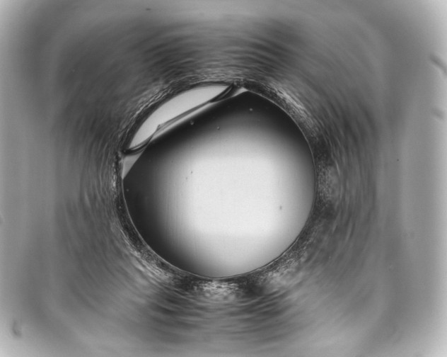 X0000098080261200804181206