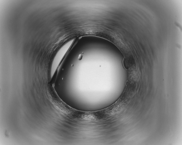 X0000098080262200804181206