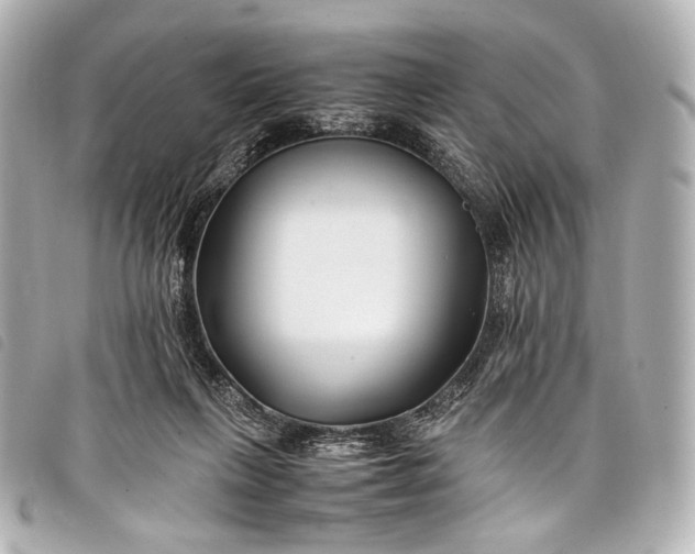 X0000098080263200804181206