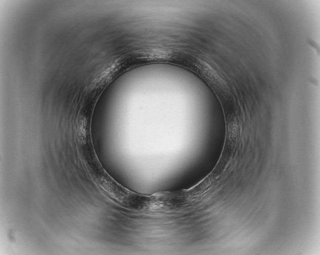 X0000098080264200804181206