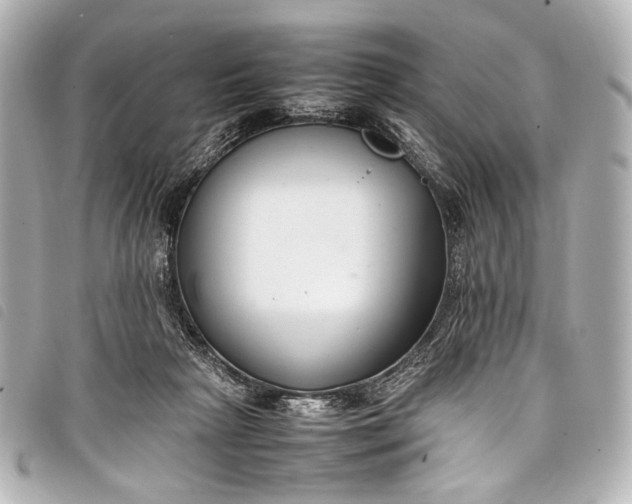 X0000098080265200804181206