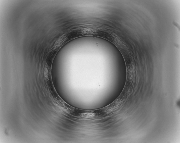 X0000098080266200804181206