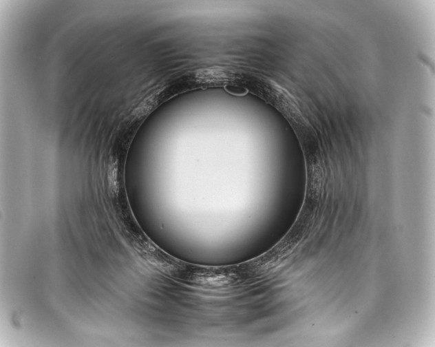 X0000098080267200804181206