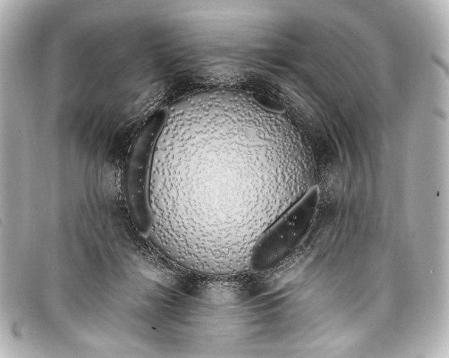 X0000098080268200804181206