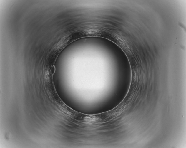 X0000098080269200804181206