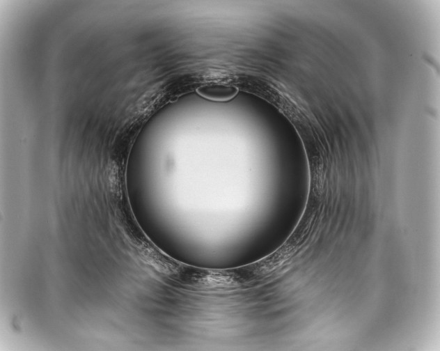 X0000098080270200804181206