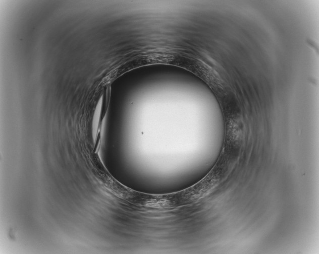 X0000098080271200804181206