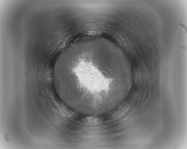 X0000098080272200804181206