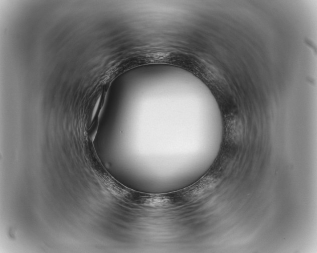 X0000098080274200804181206