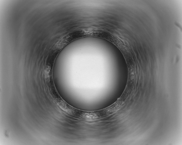 X0000098080275200804181206