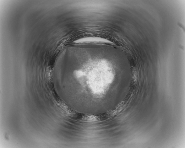 X0000098080276200804181206