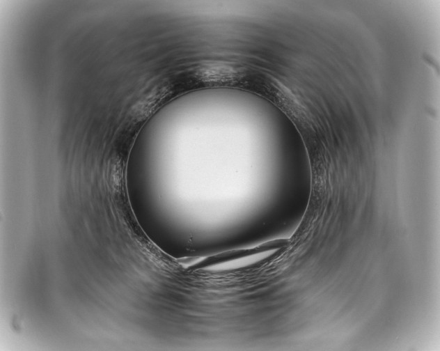 X0000098080277200804181206