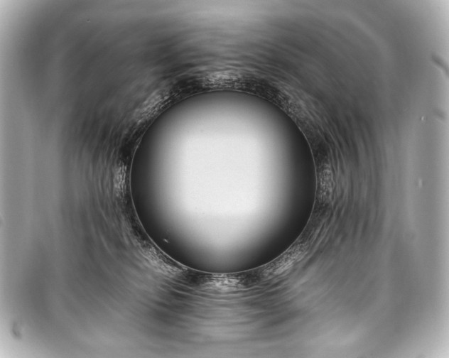 X0000098080278200804181206