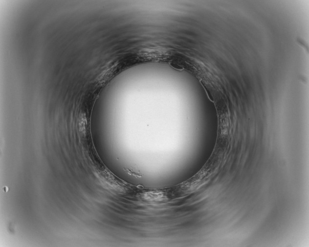 X0000098080279200804181206