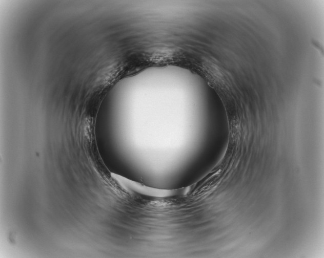 X0000098080280200804181206