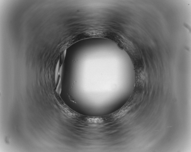 X0000098080281200804181206