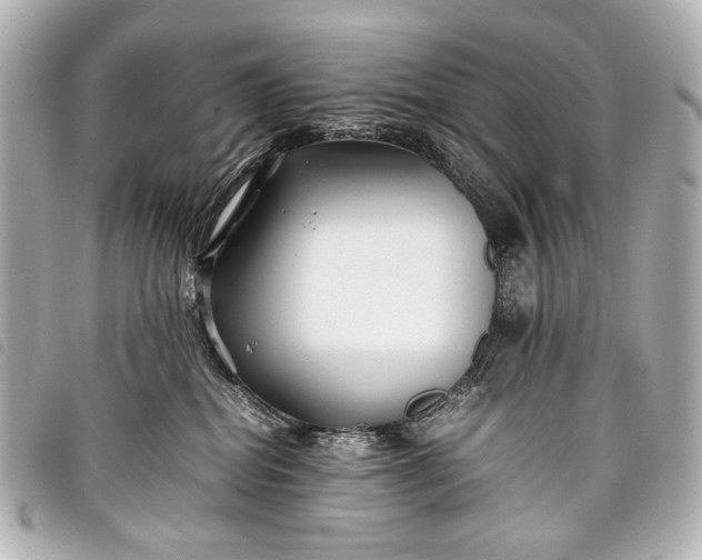 X0000098080282200804181206