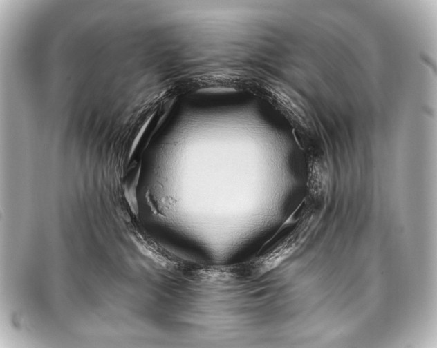 X0000098080284200804181206