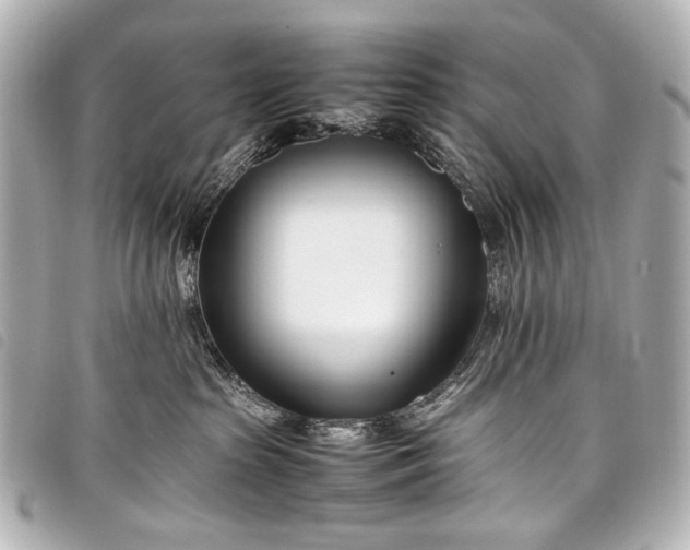 X0000098080285200804181206