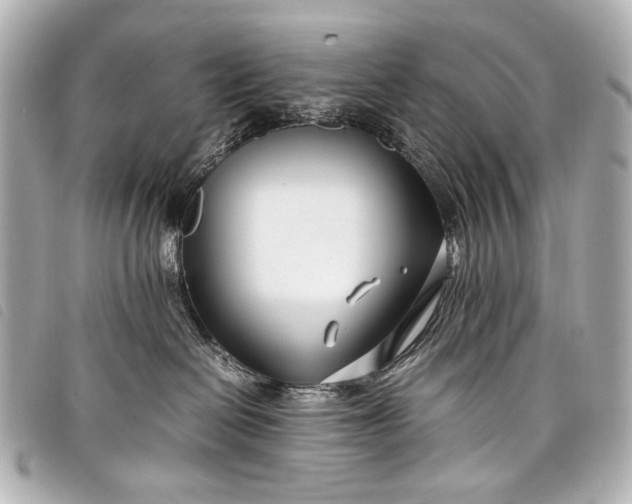 X0000098080286200804181206