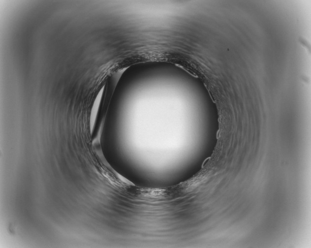 X0000098080288200804181207