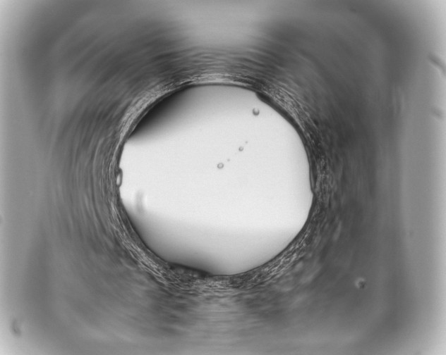 X0000098080289200804181206