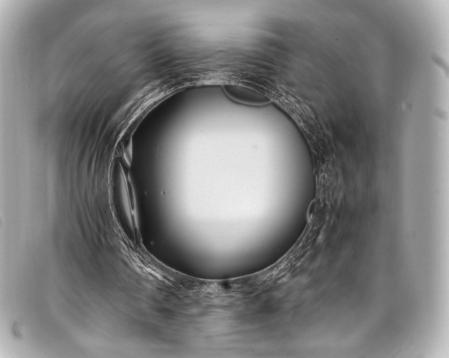 X0000098080290200804181206