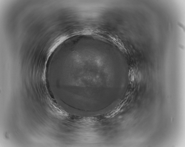 X0000098080292200804181206