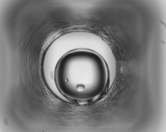 X0000098080293200804181206