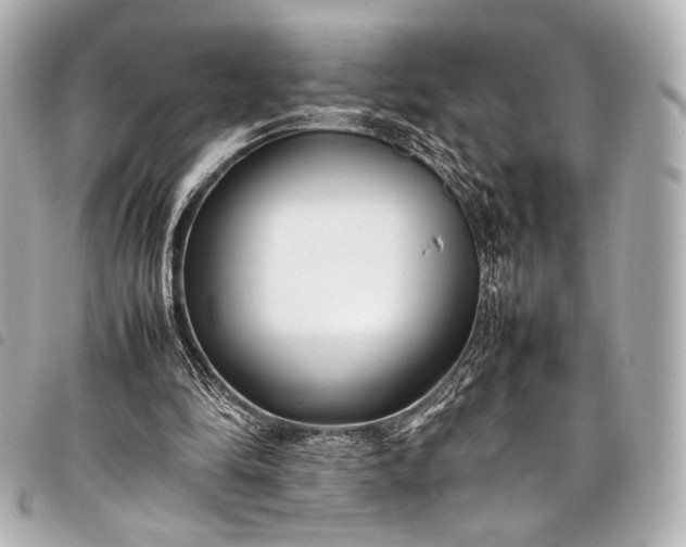 X0000098080294200804181206