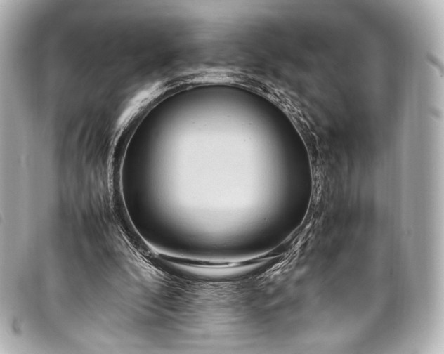 X0000098080296200804181206