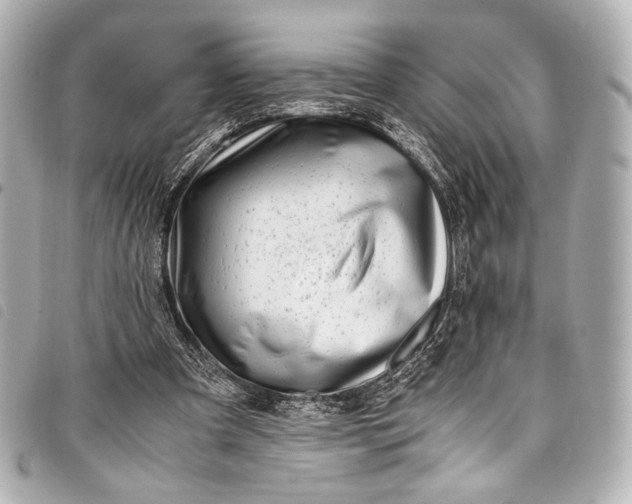 X0000098080297200804181206