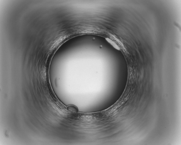 X0000098080298200804181206