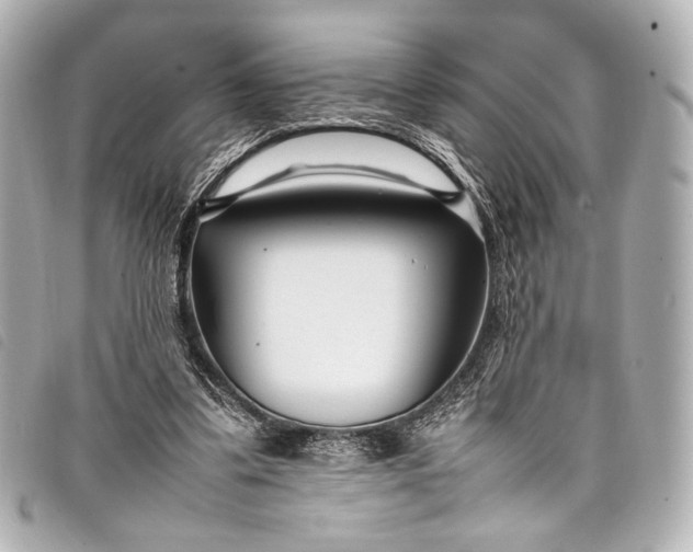 X0000098080299200804181206