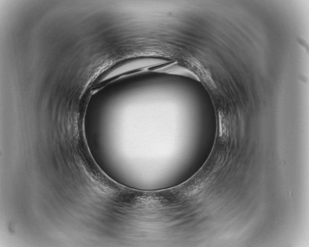 X0000098080300200804181206